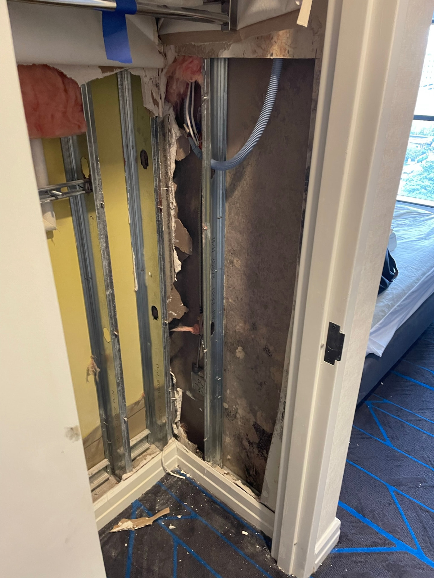 Mold growth on the exposed studs and sheathing of a wall cavity during a microbial remediation assessment